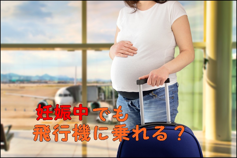 妊娠中でも飛行機に乗れる 妊婦の国内旅行体験記 マイルでタダ旅