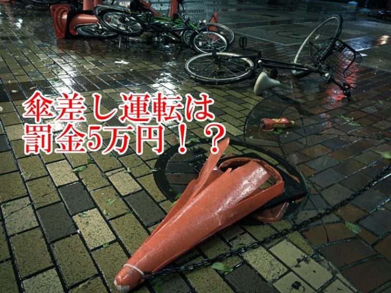 自転車 傘 差し 運転 事故